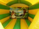 Overdekte Jungle Springkussen
